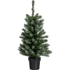 Kwantum Kerstbomen*Kerstboom Fiss Frosted Groen